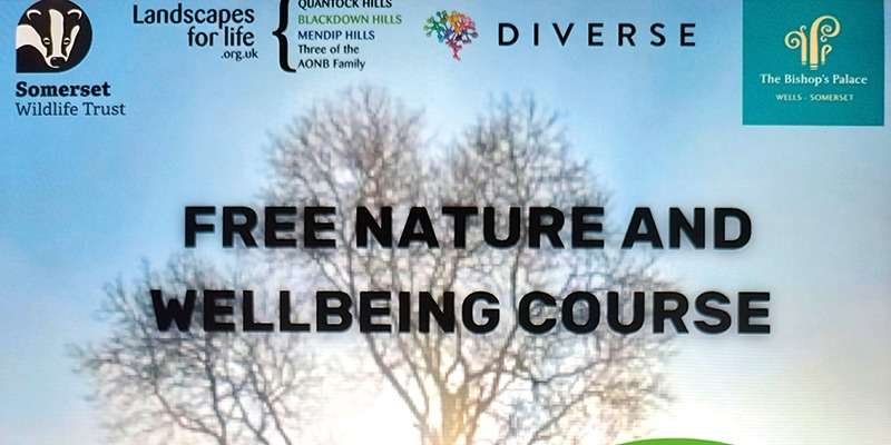 Free Nature and Wellbeing Course