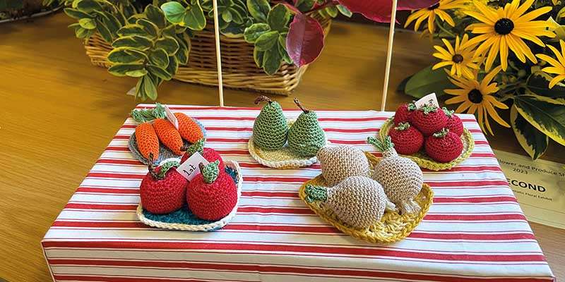 High Ham Flower and Produce Show