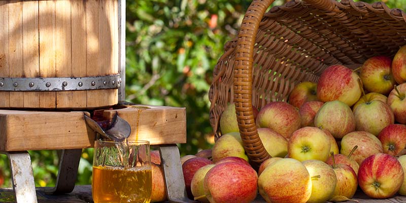 Some Apple gets squeezed to a fresh Apple Juice. Some Apple Trees are behind it.