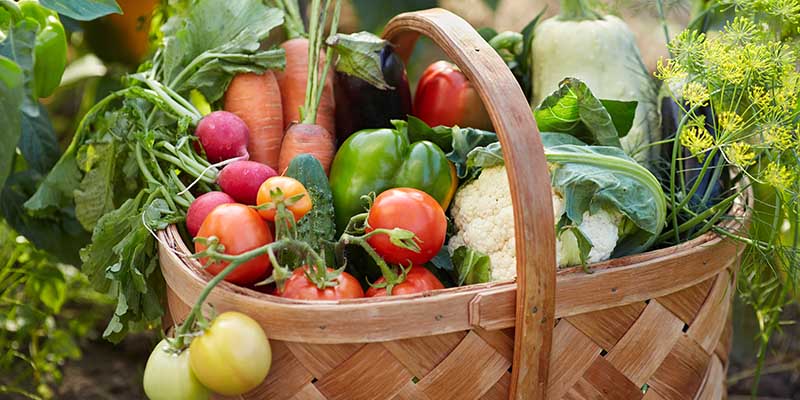 Brent Knoll Harvest Supper