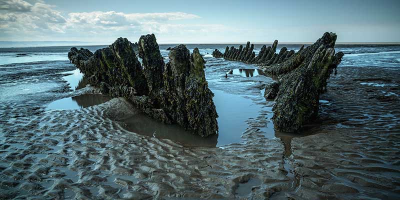 Berrow Conservation Group