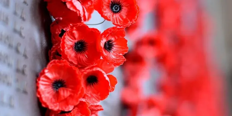 Poppy Appeal Volunteers needed in this area