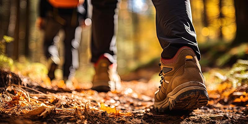 Group of tourists walks along the path of the autumn forest. Feet close-up. Traveling in a small group.