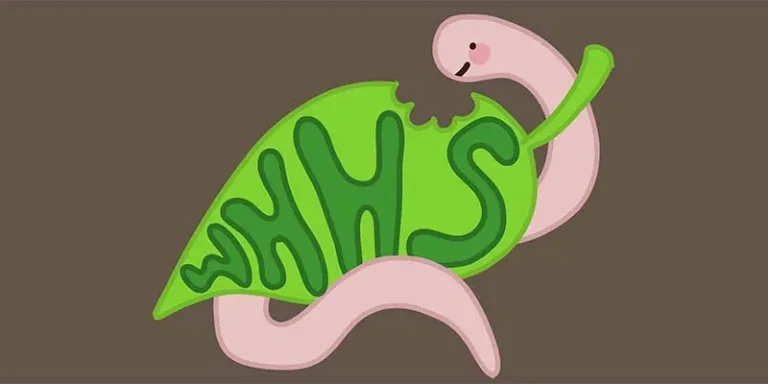 Lego Club at Wells Library!