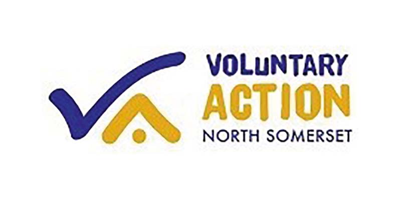 voluntary action