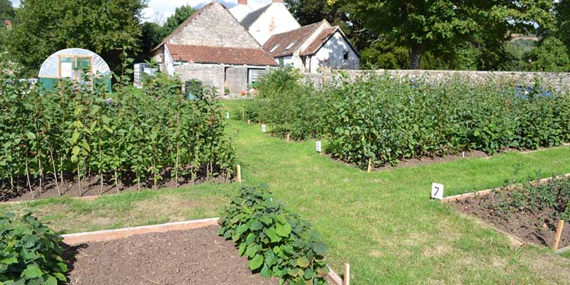 Westbury Community Tree Group