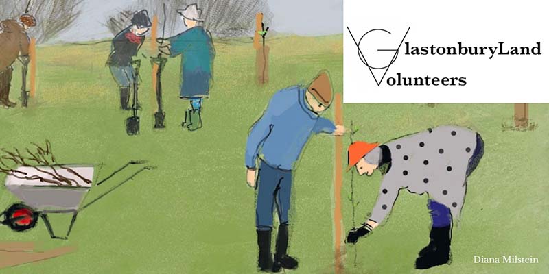 glastonburyland volunteers