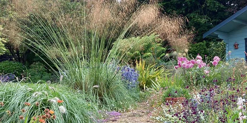 Tickenham Open Gardens