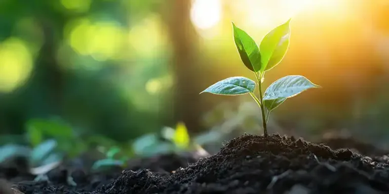 Axevale Climate Action