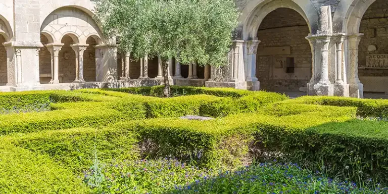 Clevedon & District Archaeological Society