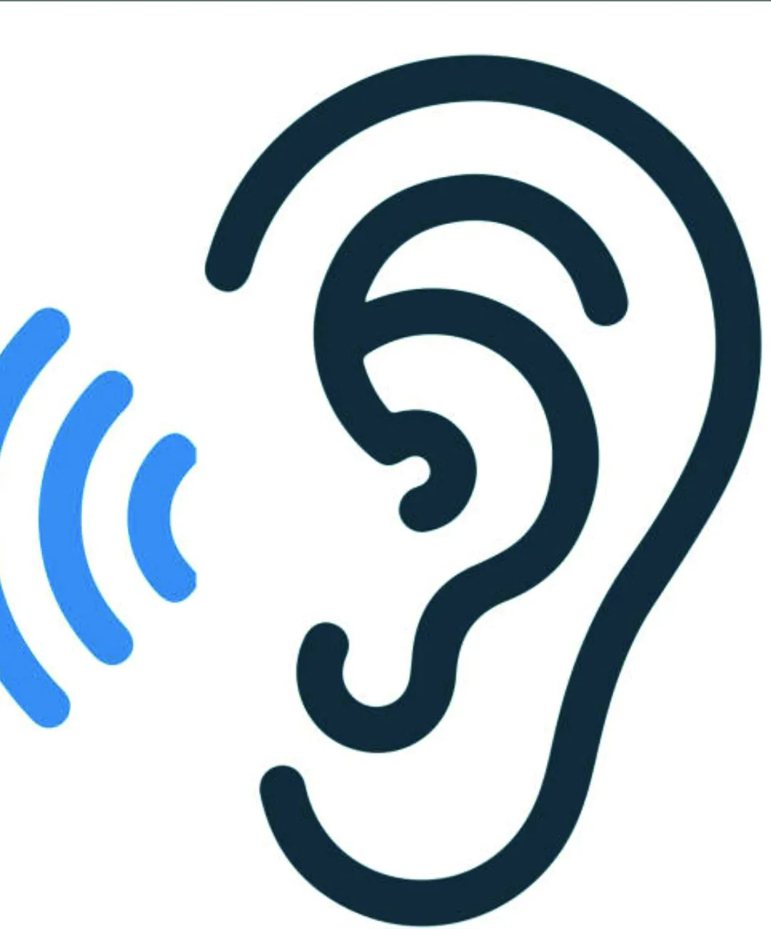 North Somerset Hard of Hearing Social Group. Next meeting 2nd February – Talk about Improving Ageing North Somerset