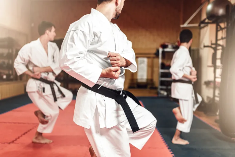 Karate Martial arts training 1st lesson free